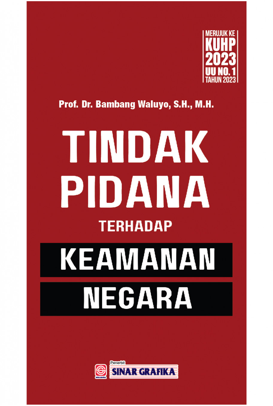 Tindak Pidana terhadap Keamanan Negara Mengacu pada KUHP Baru